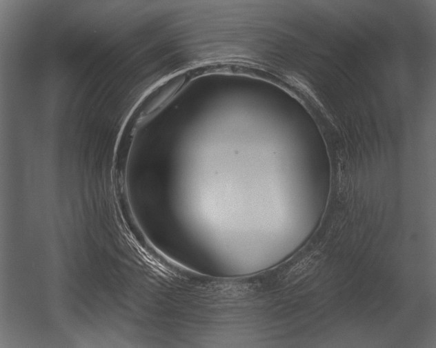 X0000054440924200508011426