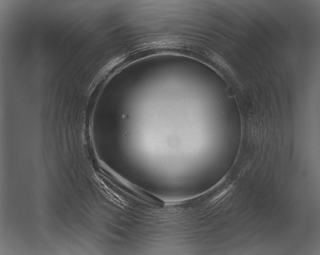 X0000054440930200508011426