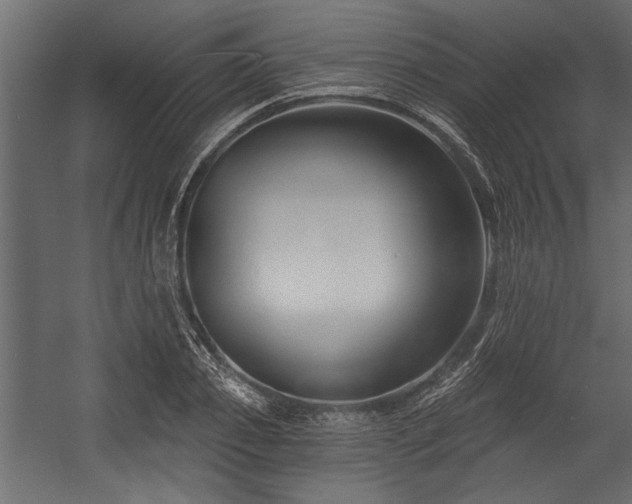 X0000054440933200508011426