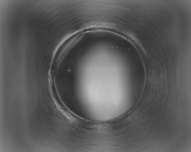 X0000054440936200508011426