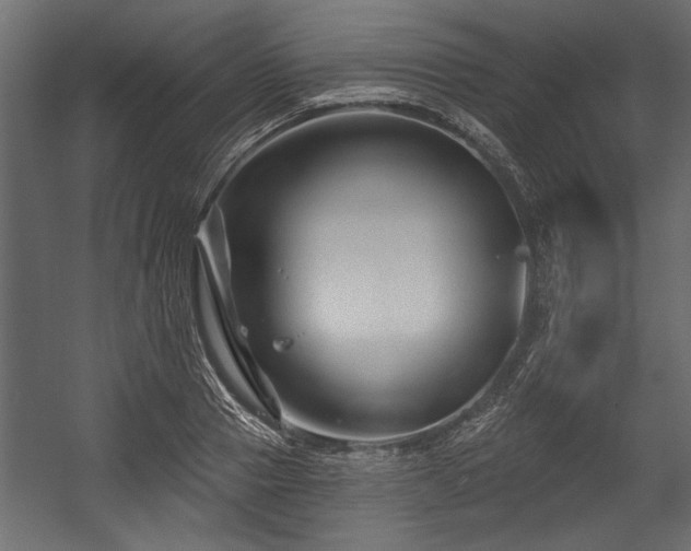 X0000054440937200508011426