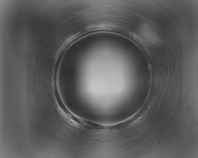 X0000054440938200508011426