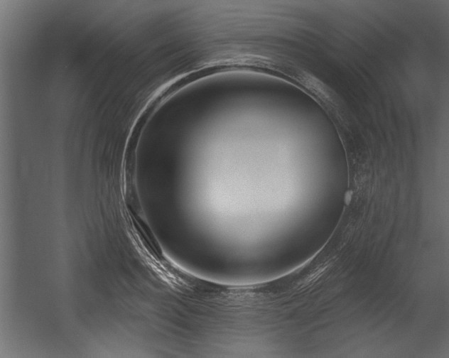 X0000054440940200508011426