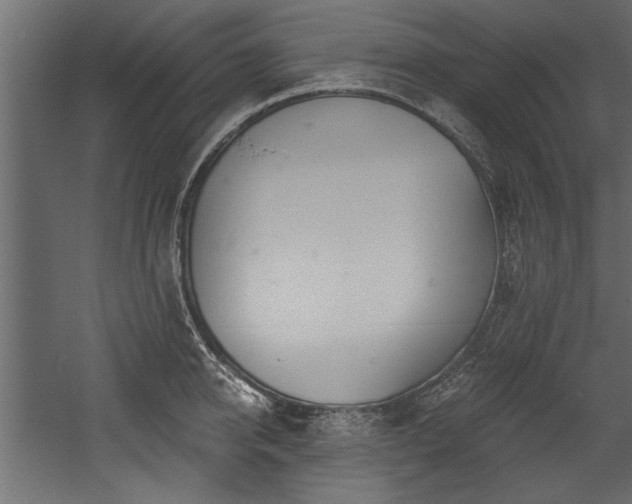 X0000054440950200508011426