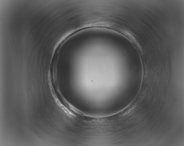 X0000054440952200508011426