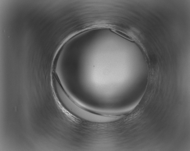 X0000054440955200508011426