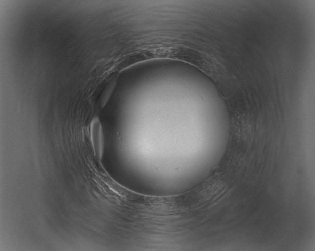 X0000054440962200508011425