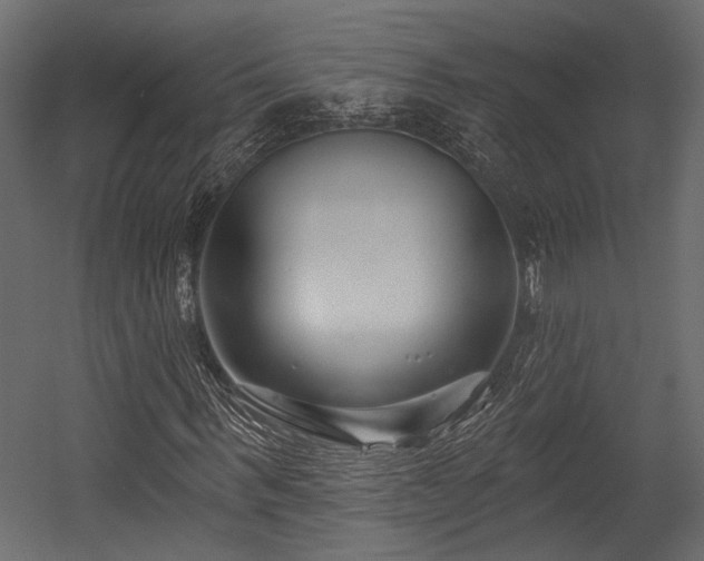 X0000054440963200508011425