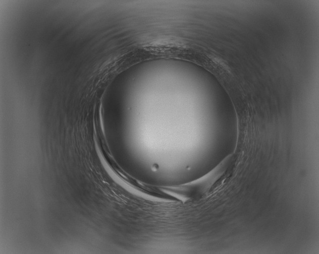 X0000054440965200508011425