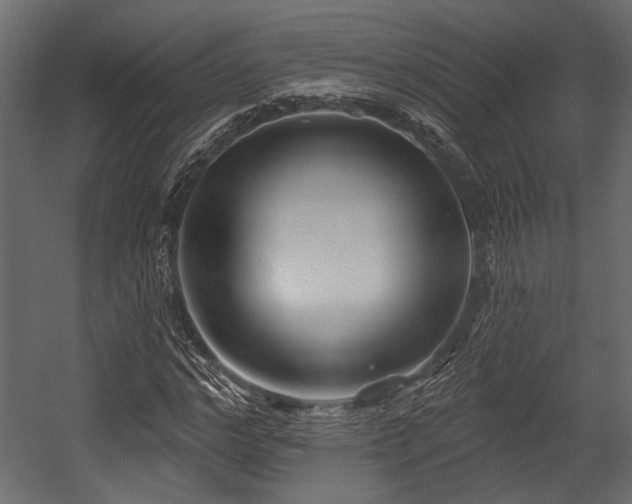 X0000054440968200508011425