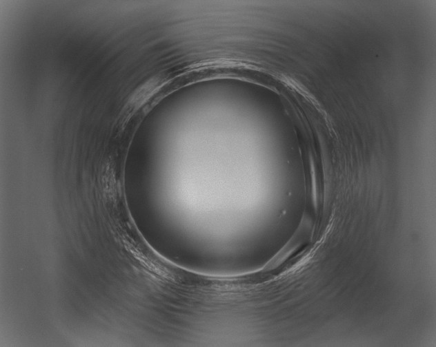 X0000054440969200508011425