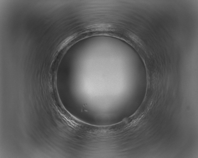 X0000054440970200508011425