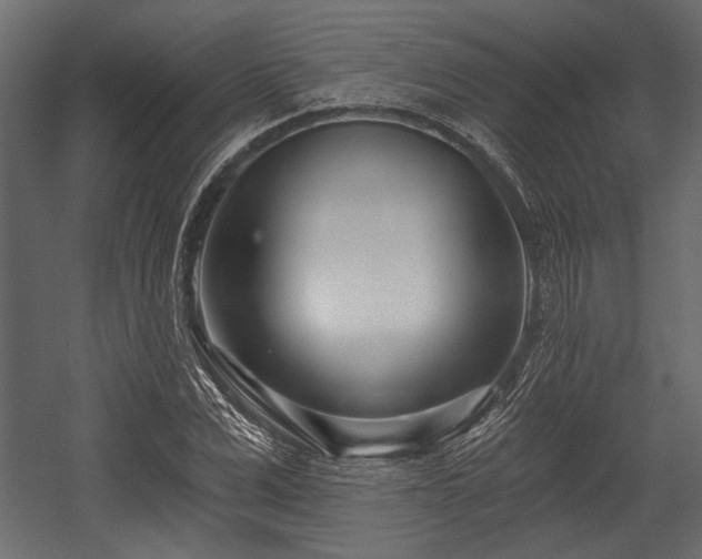 X0000054440975200508011425