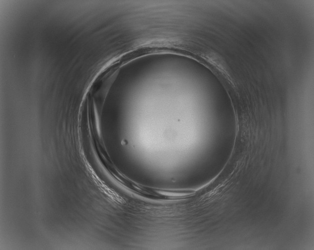 X0000054440976200508011425