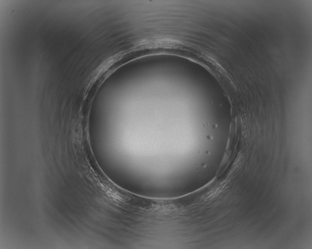 X0000054440978200508011425