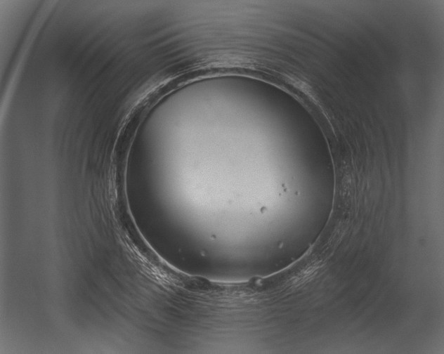 X0000054440979200508011425