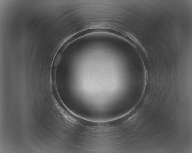 X0000054440980200508011425