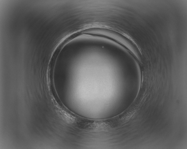 X0000054440983200508011425
