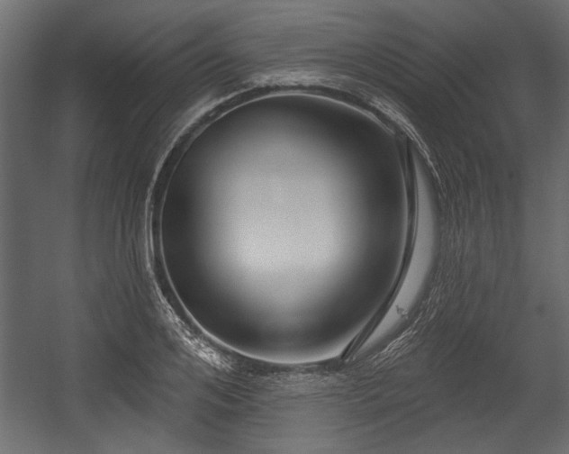 X0000054440984200508011425
