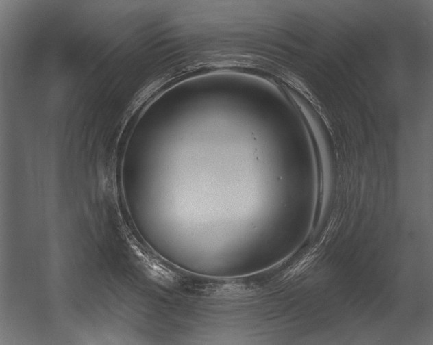 X0000054440986200508011425