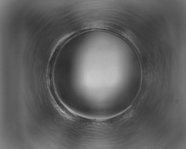 X0000054440987200508011425