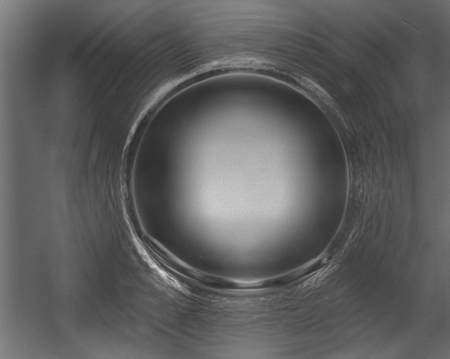 X0000054440989200508011425