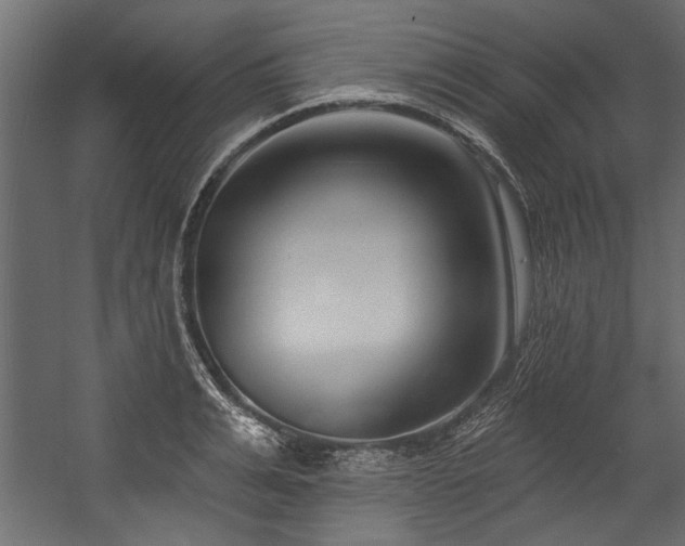 X0000054440991200508011425
