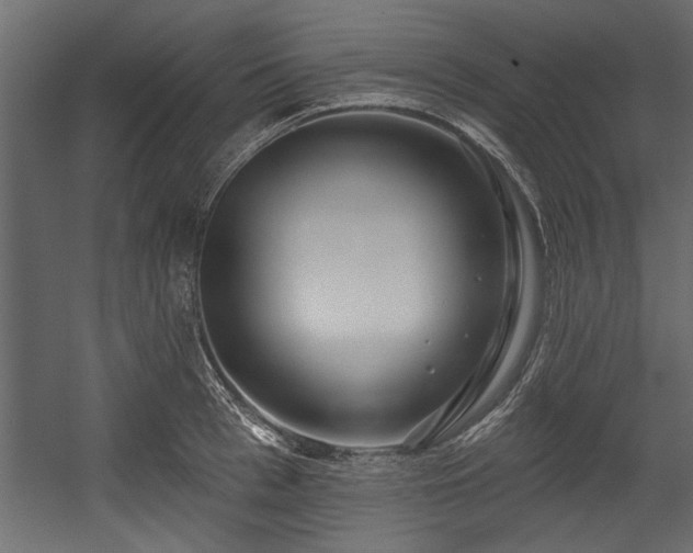 X0000054440993200508011425