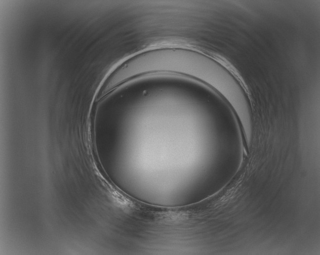 X0000054440996200508011425