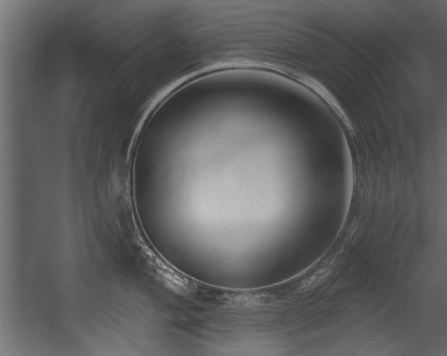 X0000054441004200508011425