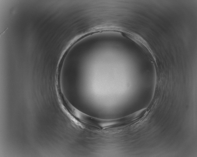 X0000054441005200508011425