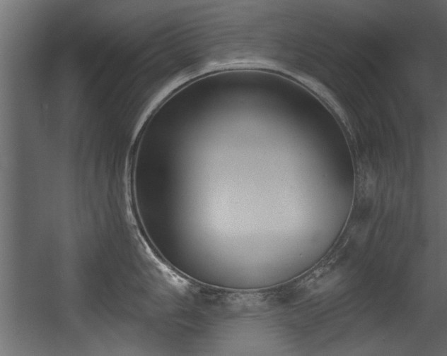X0000054441006200508011425