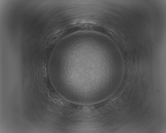 X0000054441013200508011424