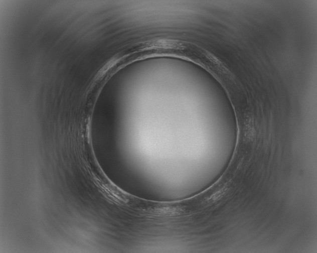 X0000054441017200508011424