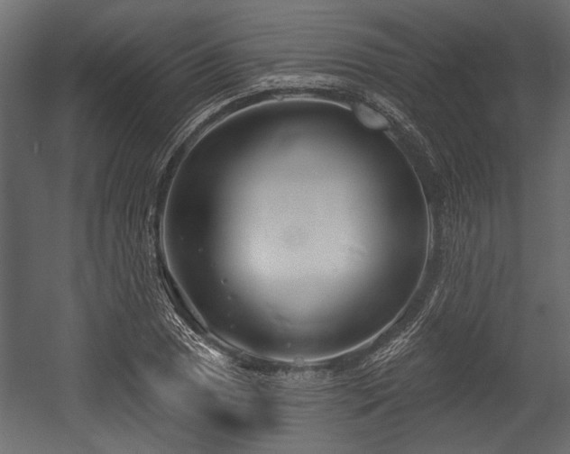 X0000054441025200508011424