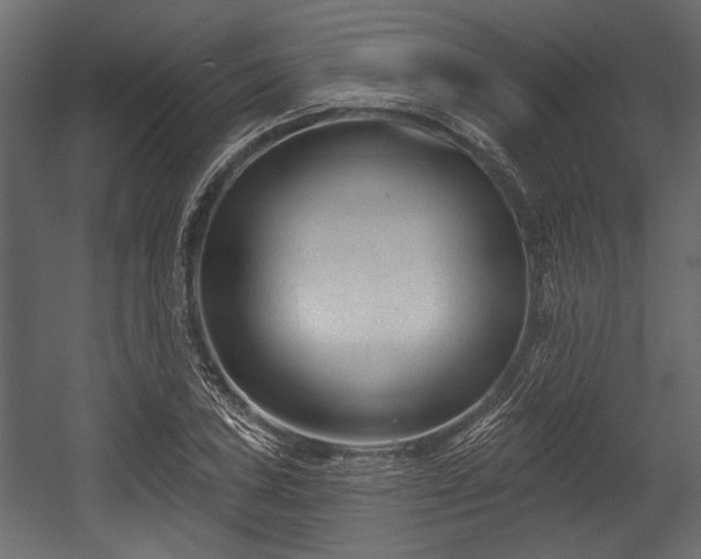 X0000054441027200508011424