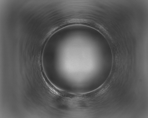 X0000054441033200508011424