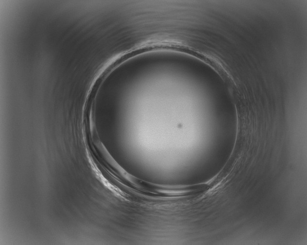X0000054441038200508011424