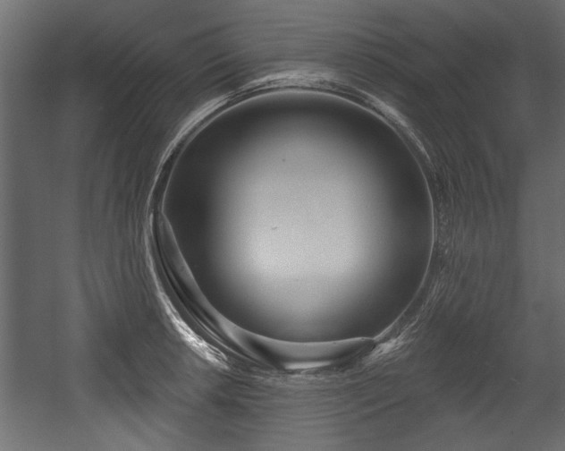X0000054441042200508011424