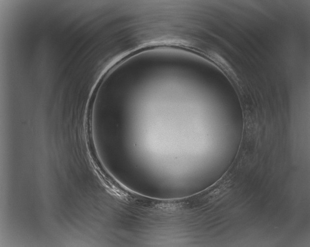 X0000054441044200508011424