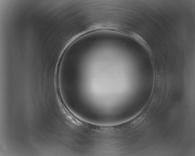 X0000054441052200508011424