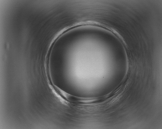 X0000054441054200508011424