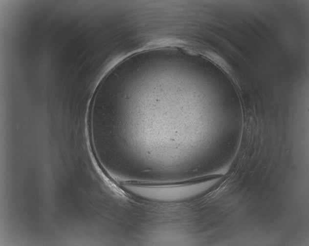X0000054441055200508011425