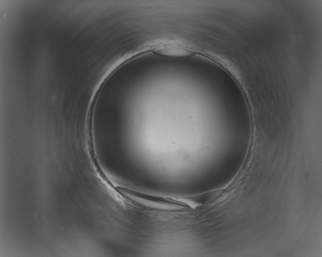 X0000054441056200508011425