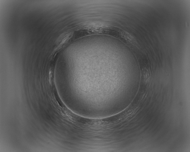 X0000054441060200508011424