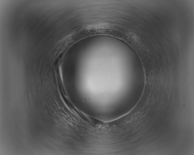 X0000054441062200508011424