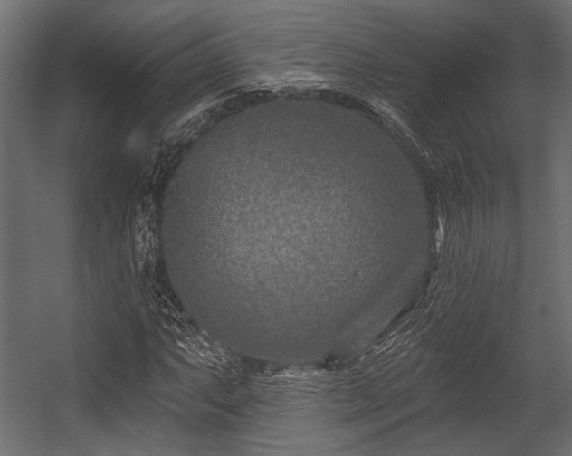 X0000054441063200508011424