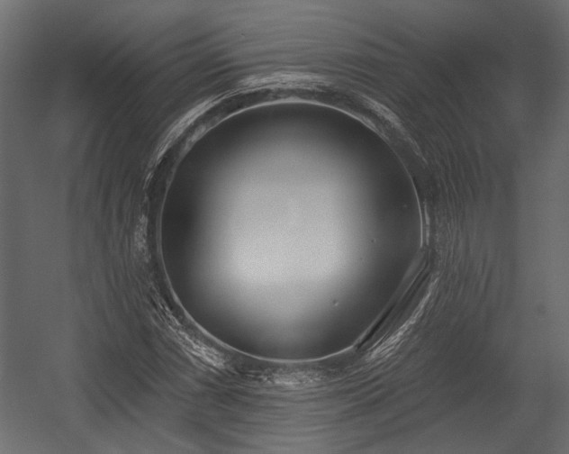 X0000054441066200508011424