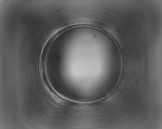 X0000054441072200508011423