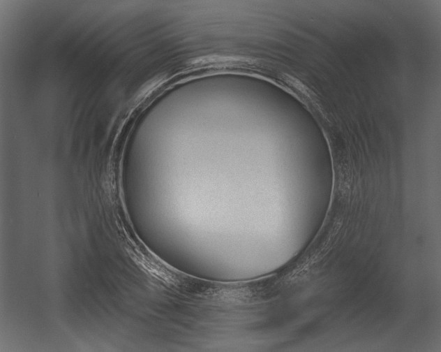 X0000054441074200508011423